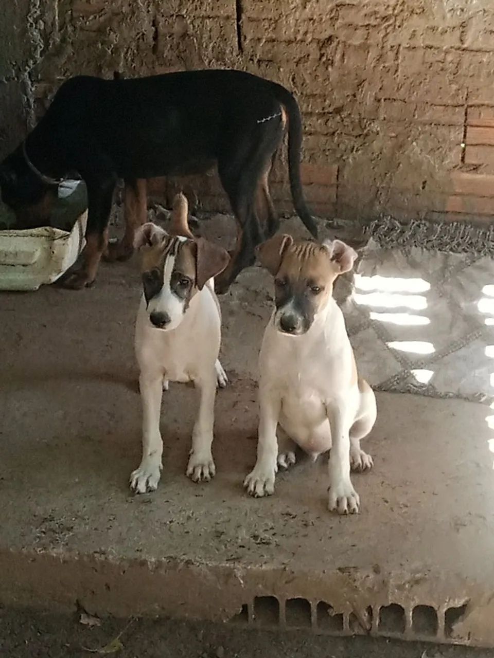 Doação consciente 