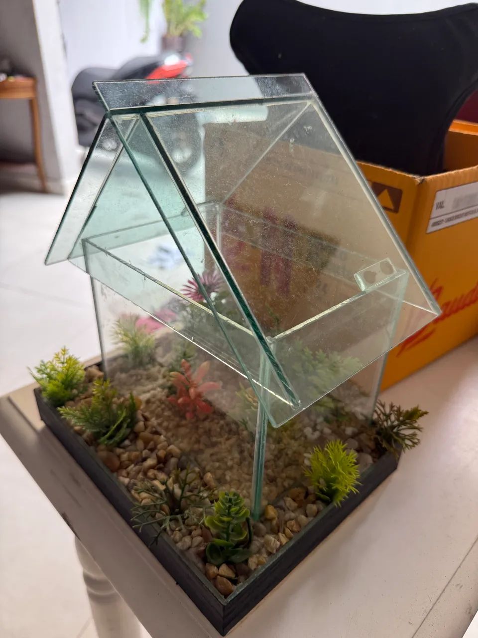 Aquário Betta Beteira completo - Foto 4