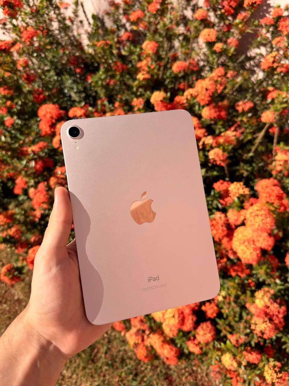 iPad mini 6, rosé, 64gb  - Foto 3