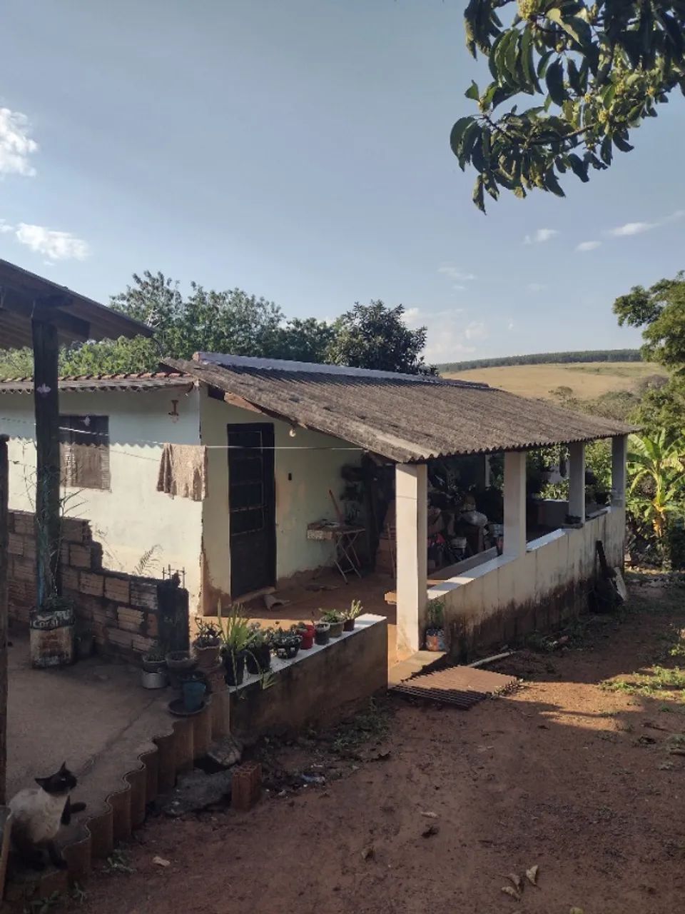 Chacrinha  - Foto 3
