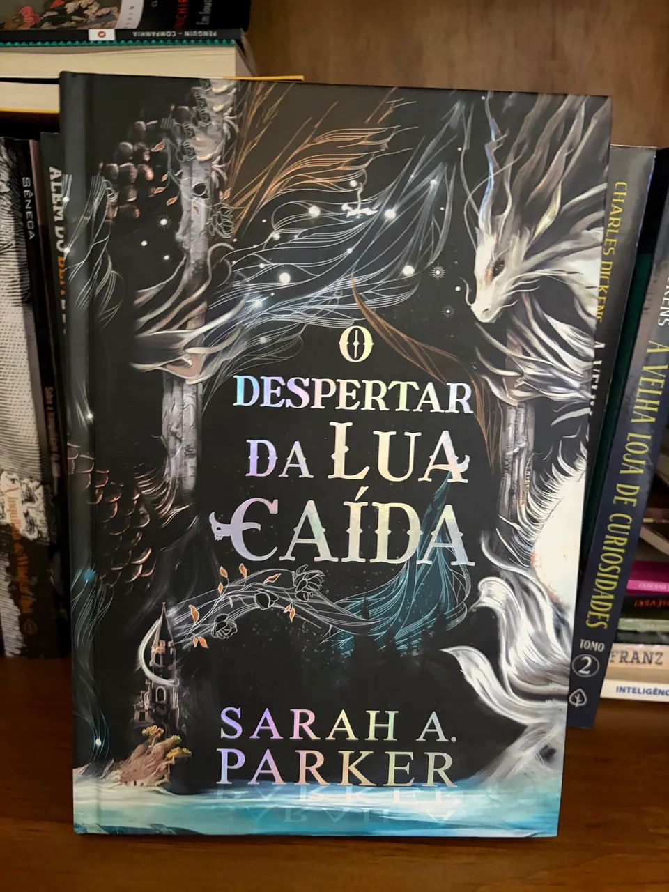 Livro o despertar da lua caída 