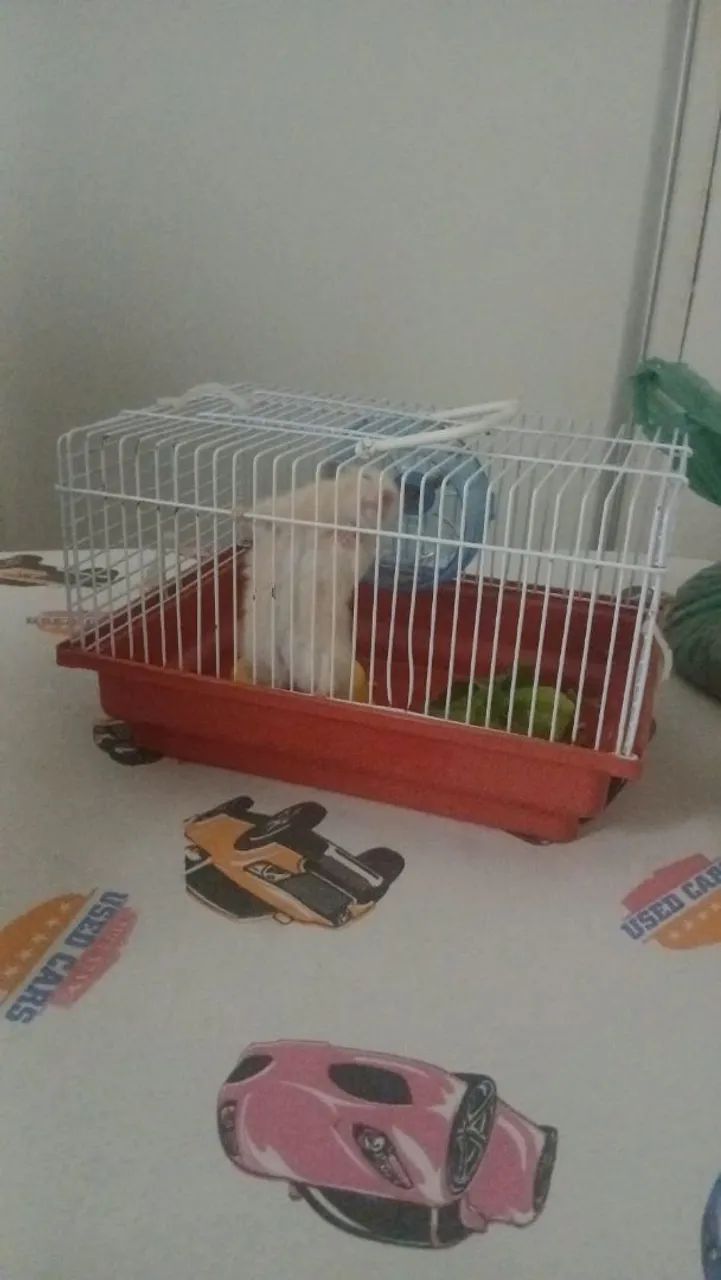 Gaiolas roedores hamster