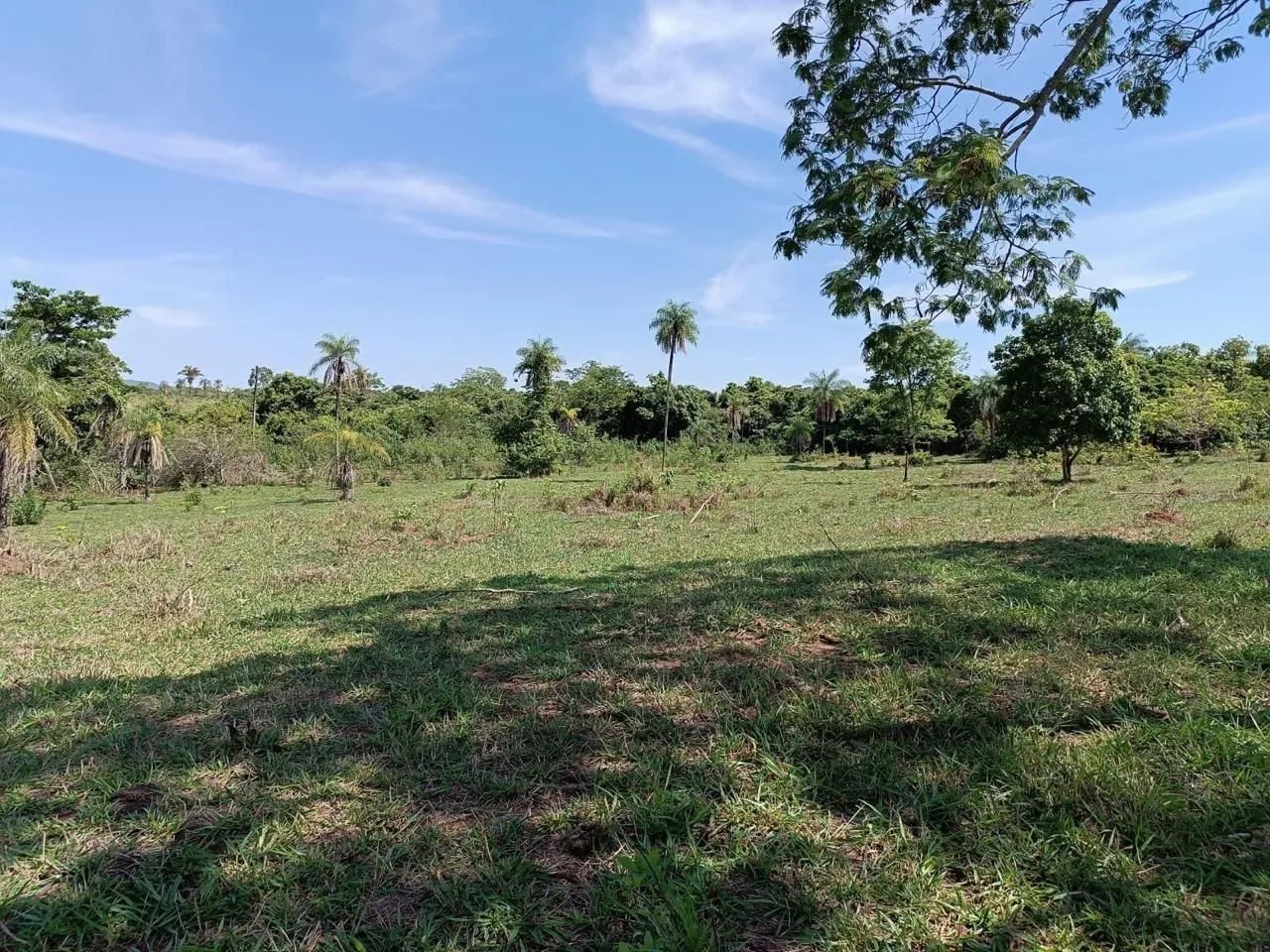 Terra em Campos Belos-Go - Foto 5