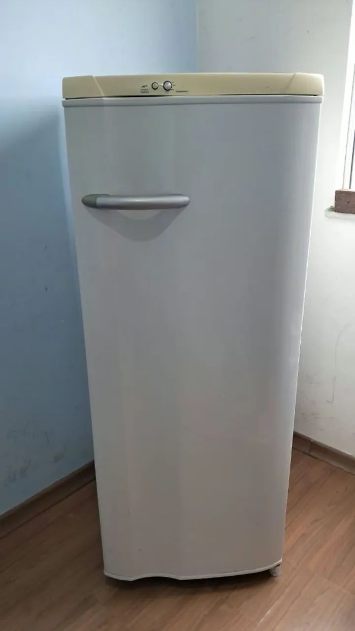 Geladeira eletrolux 
