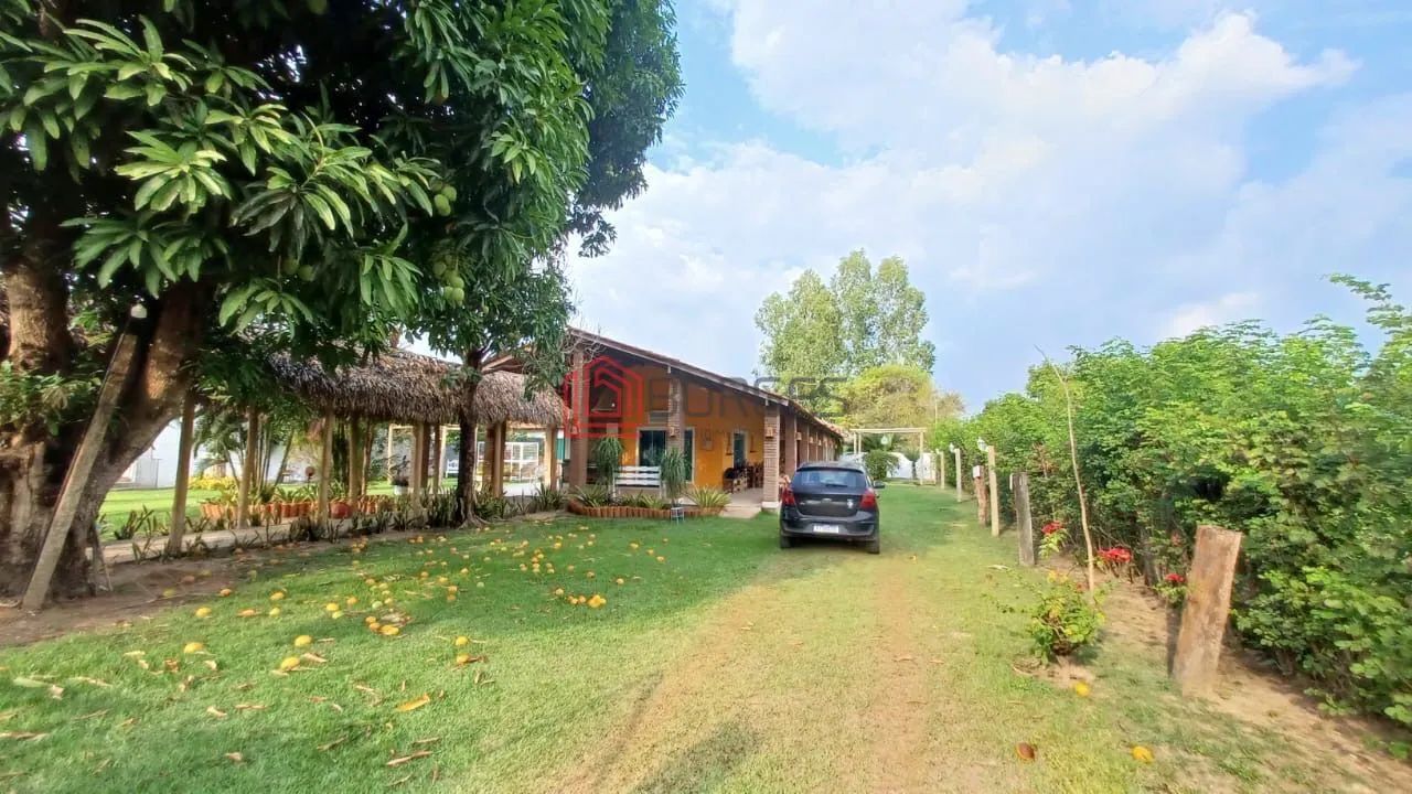 Café no Quintal à venda - Foto 2