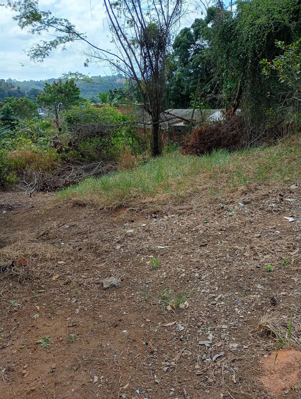 Terreno 