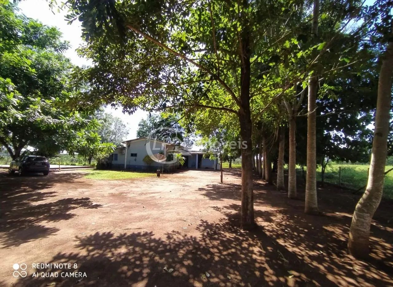 Excelente Chácara, 15.5 Ha, formada, - Foto 3