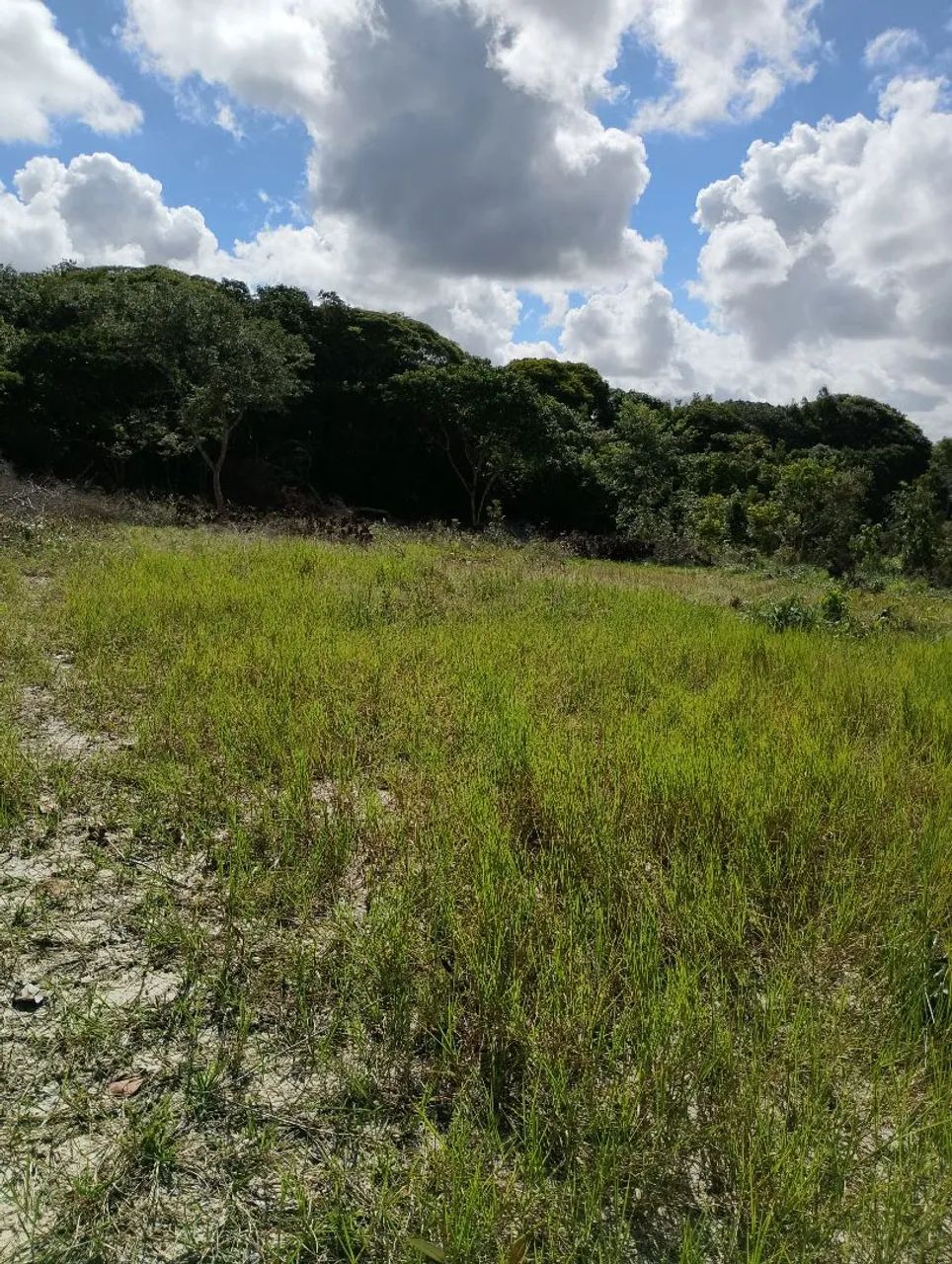 VENDO SITIO EM CATU/BA  - Foto 3