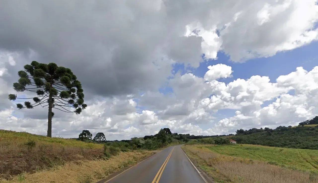 Propriedade Rural com 28 Hectares - Irani, SC - Foto 2