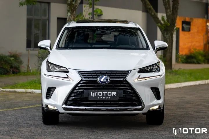 Lexus NX-300