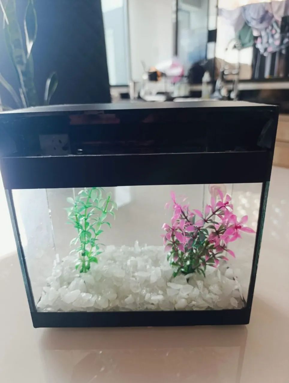 Aquário pequeno completo  - Foto 3
