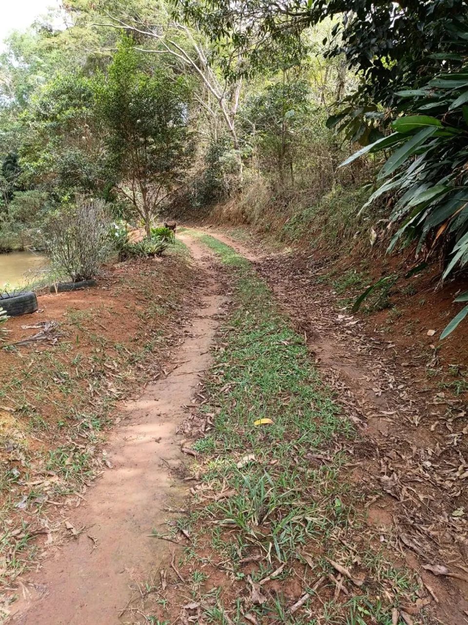sítio 19 hectares 