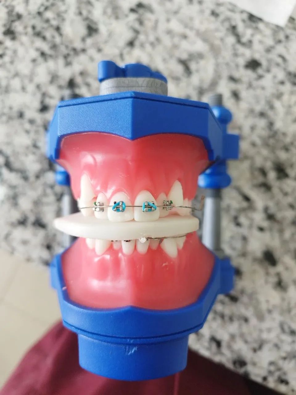 Vendo typodont ortodontia