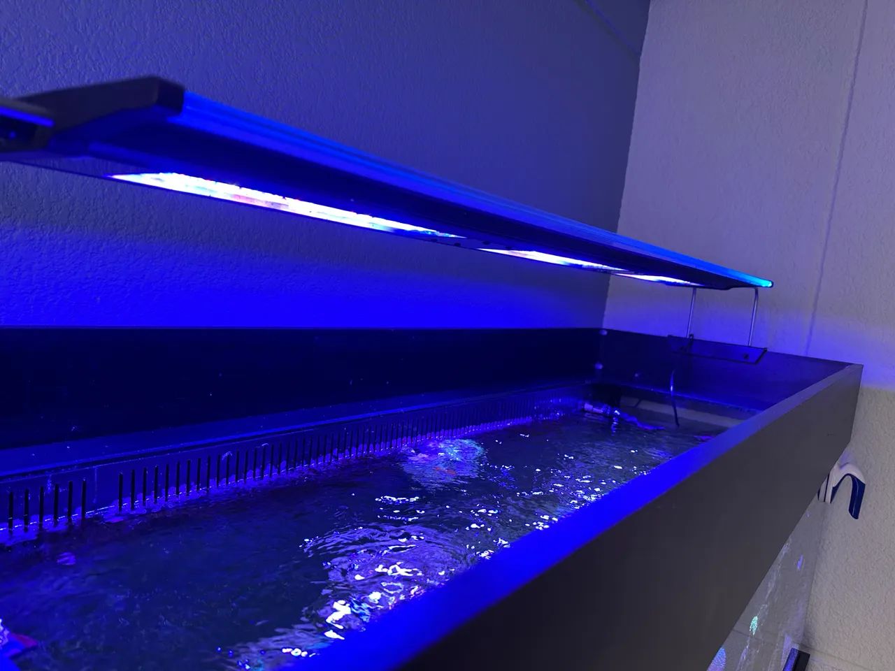 Aquário marinho 400lts completo  - Foto 3