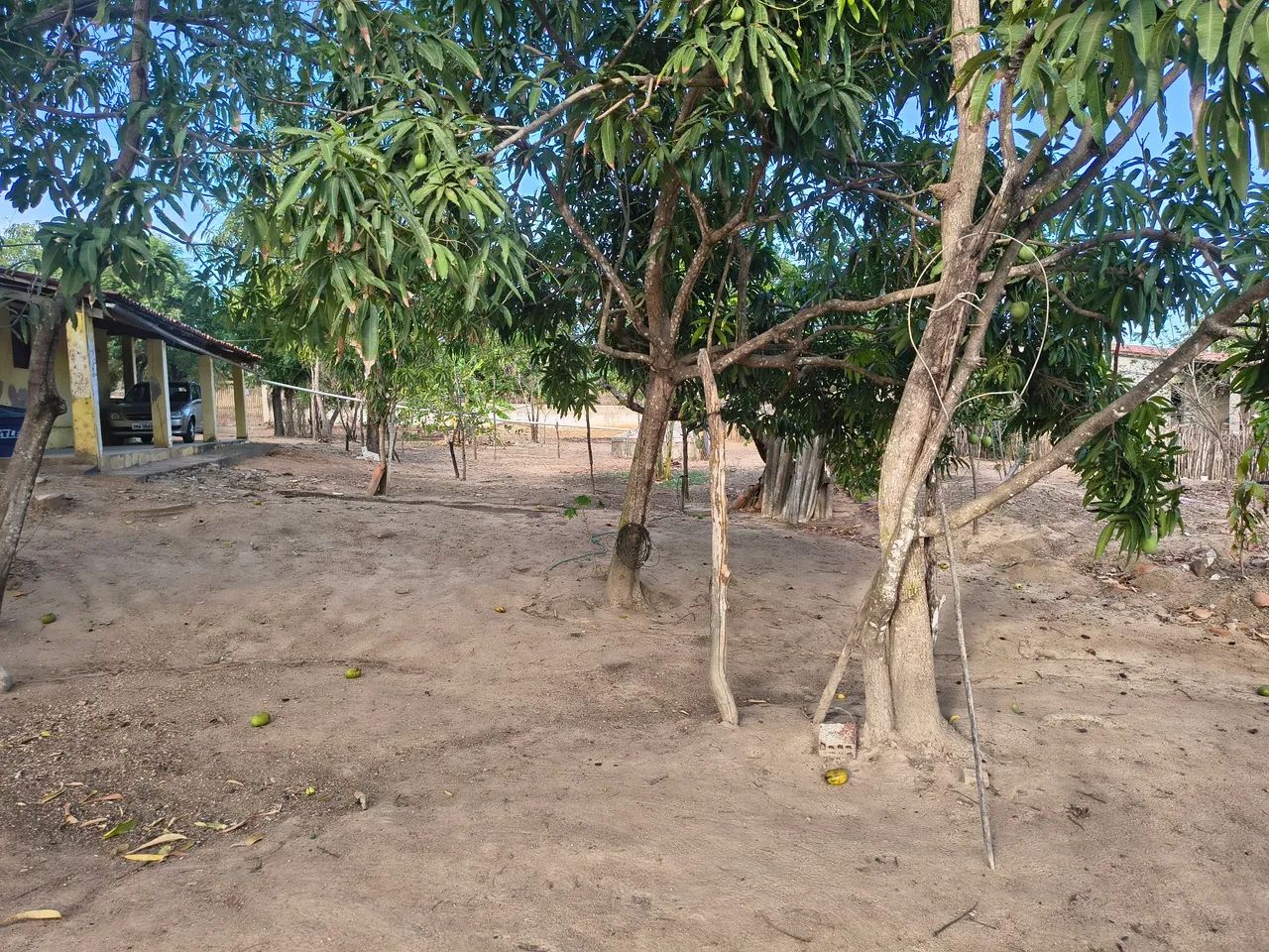 Vendo sítio em Araçoiaba, bem próximo de Guaramiranga  - Foto 3