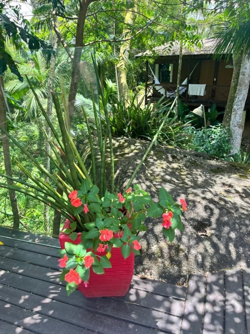 Sítio para Venda em Santo Amaro da Imperatriz, Caldas da Imperatriz, 2 dormitórios, 2 suít - Foto 2