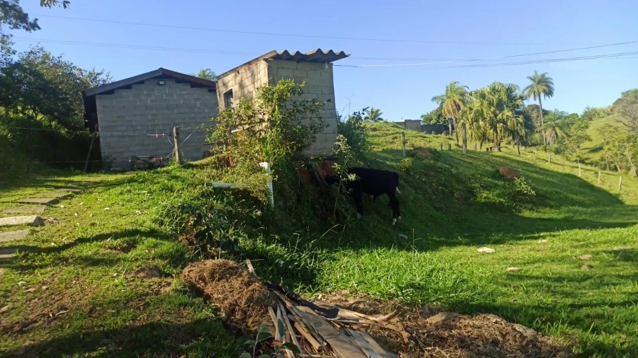 TERRENO A VENDA EM AMPARO - Foto 3