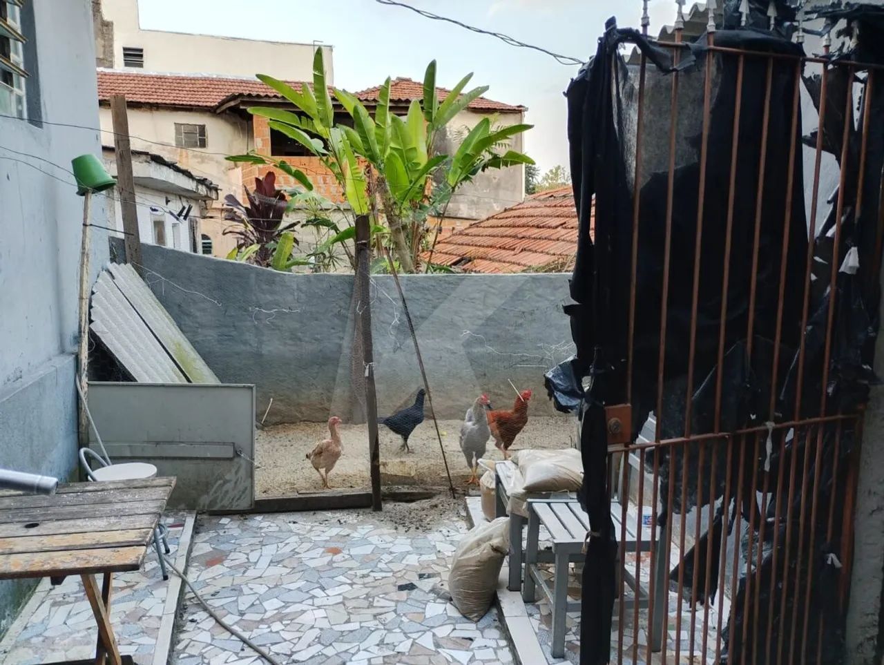 Terreno à Venda - Baltazar de Morais - Foto 3