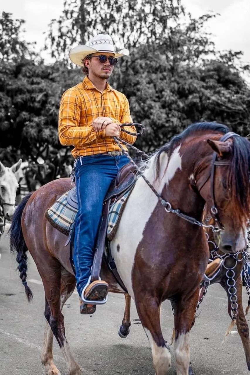 Cavalo - Foto 2
