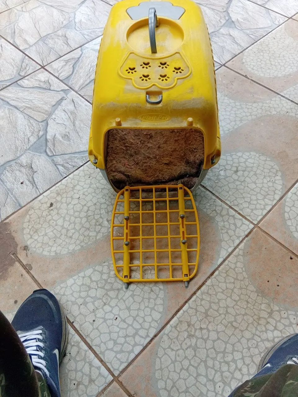 Casinha de gato