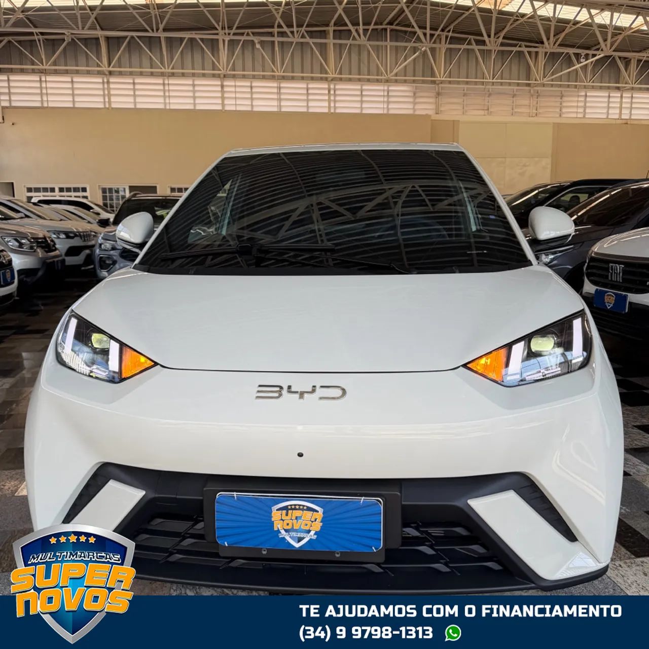 BYD Dolphin GS (Elétrico) 2025 - Foto 2