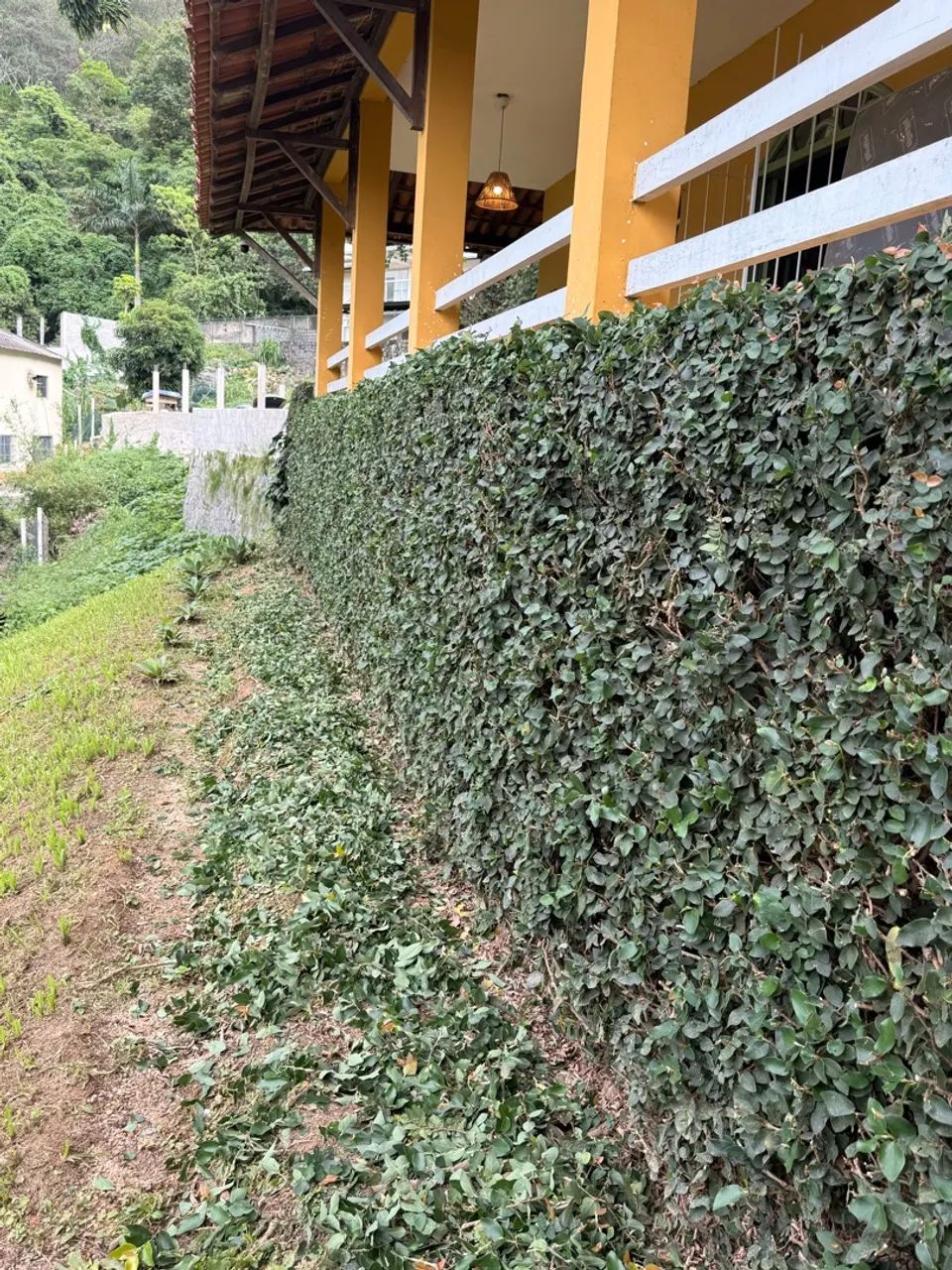 Limpeza e Manutenção de Jardim