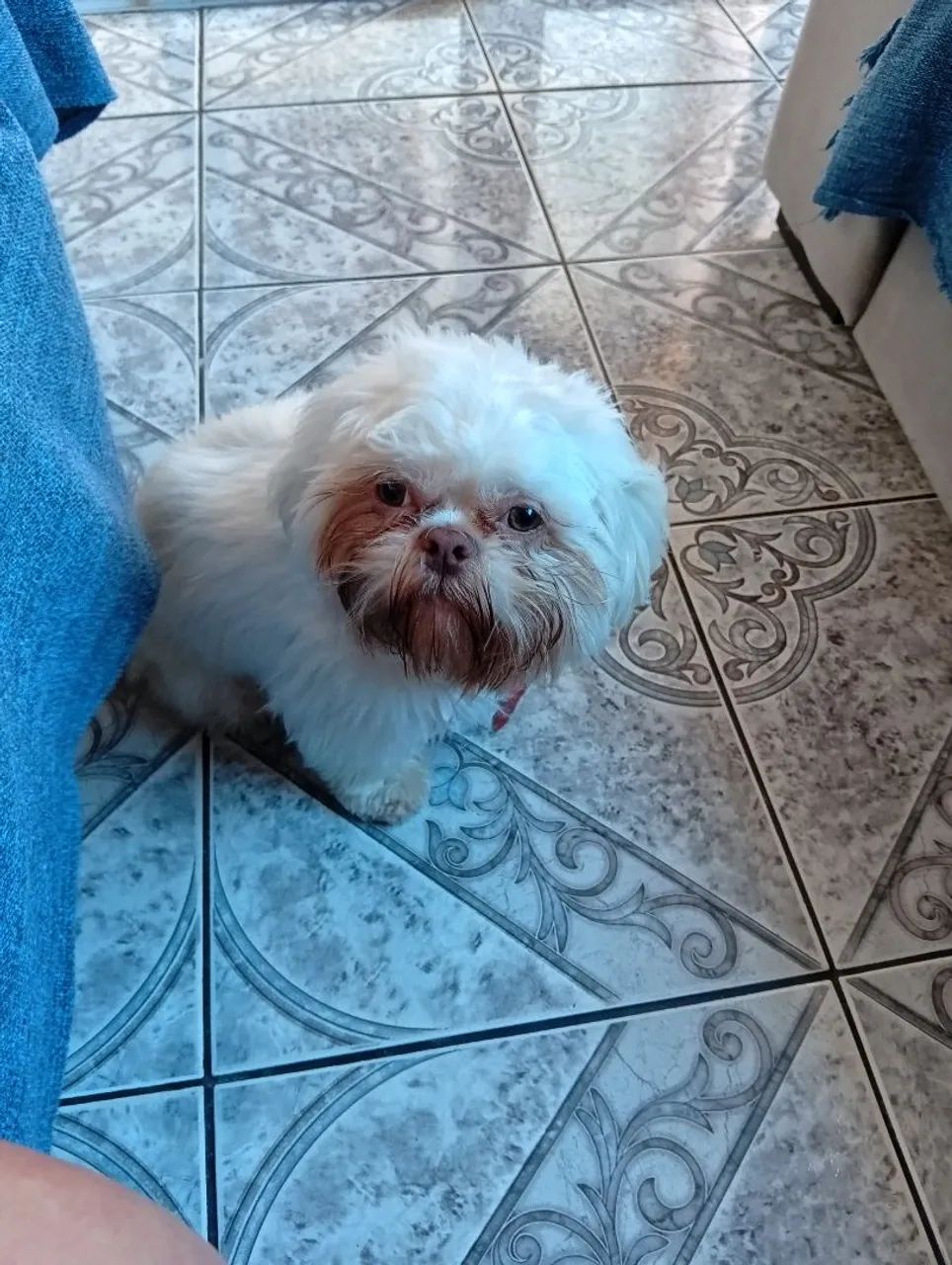 Procurando uma namorada  - Foto 2