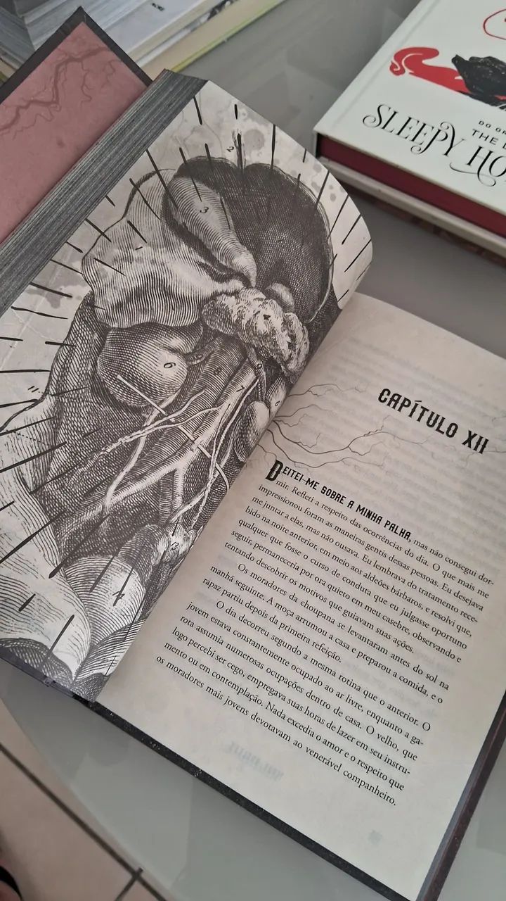 Frankenstein capa dura - Foto 2