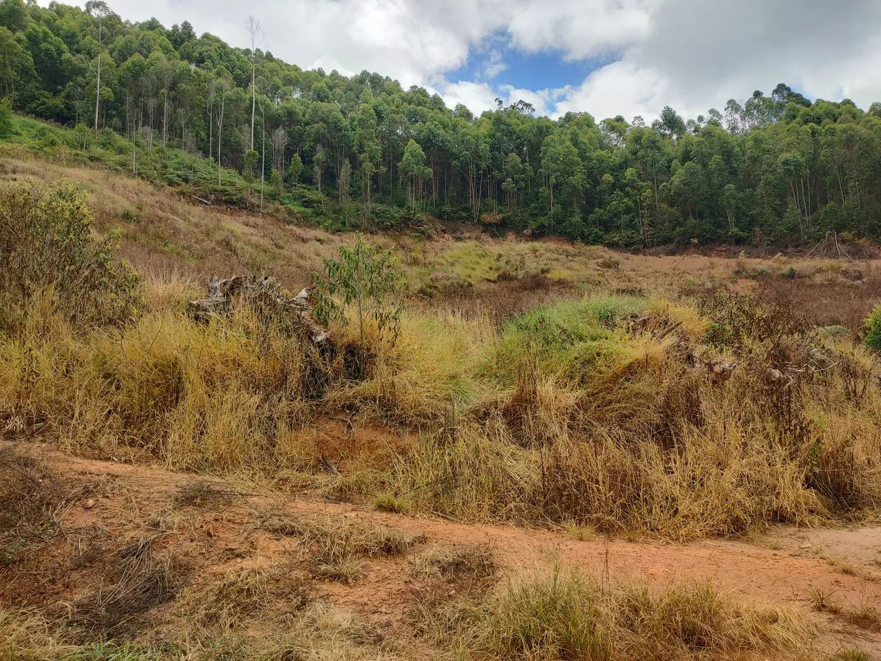 Terreno Alto Castelinho  - Foto 5