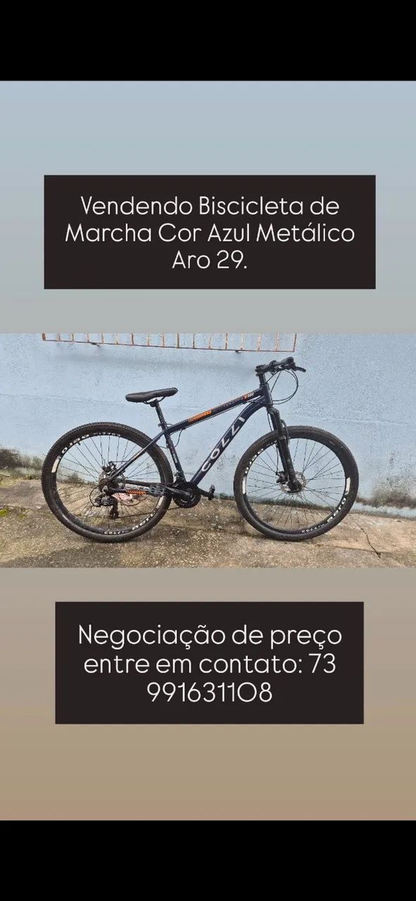 Biscicleta Colli Aro 29