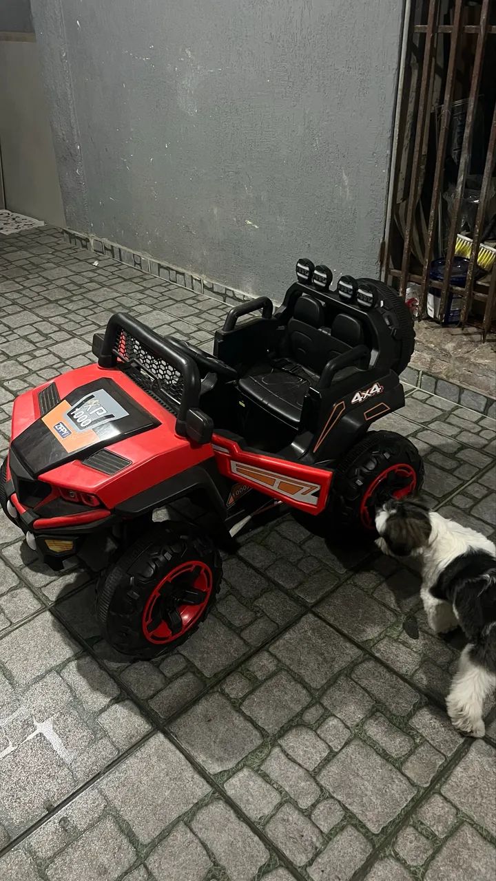 Carrinho elétrico 