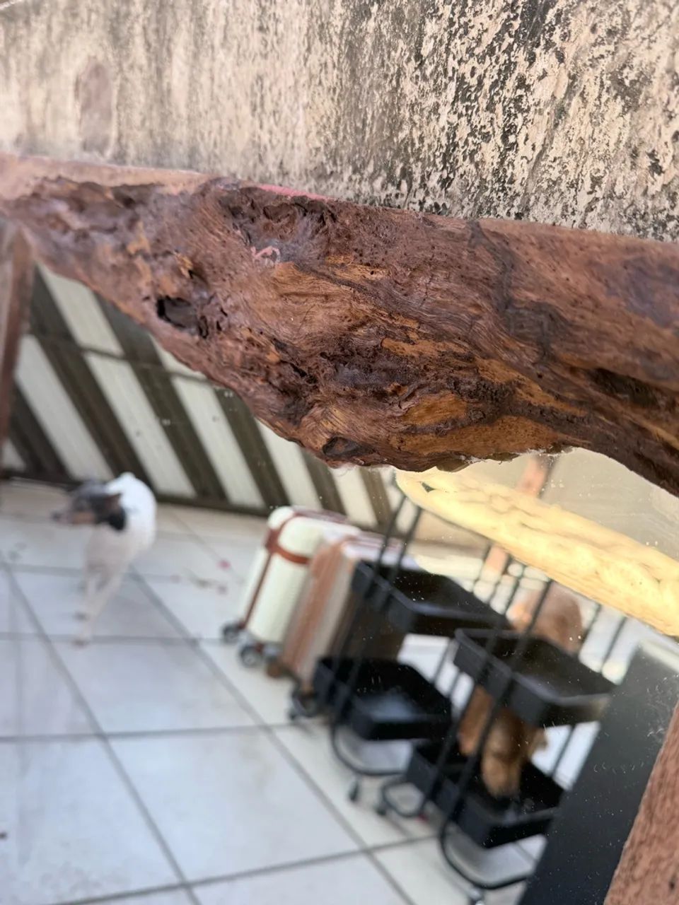 Bancadas e espelhos - Foto 2