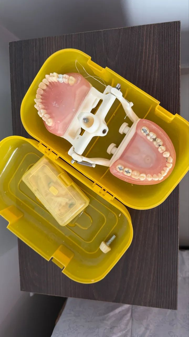 Manequim odontologia - Foto 2