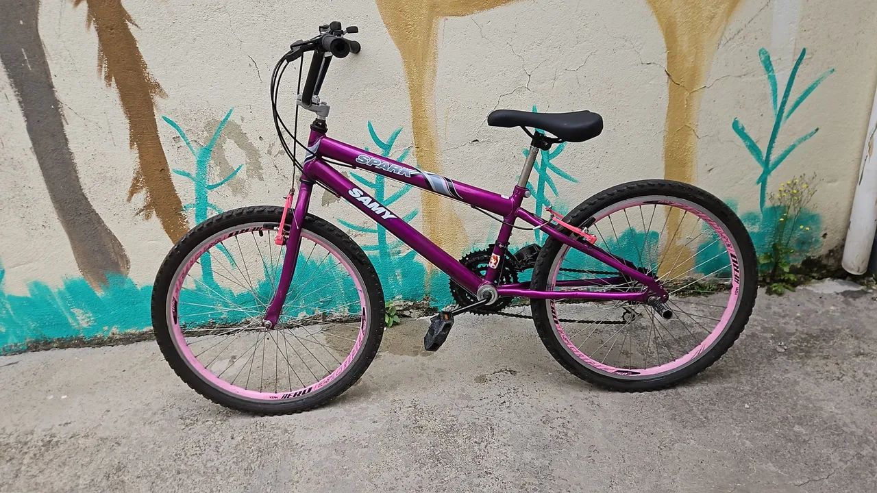 Bicicleta aro 24