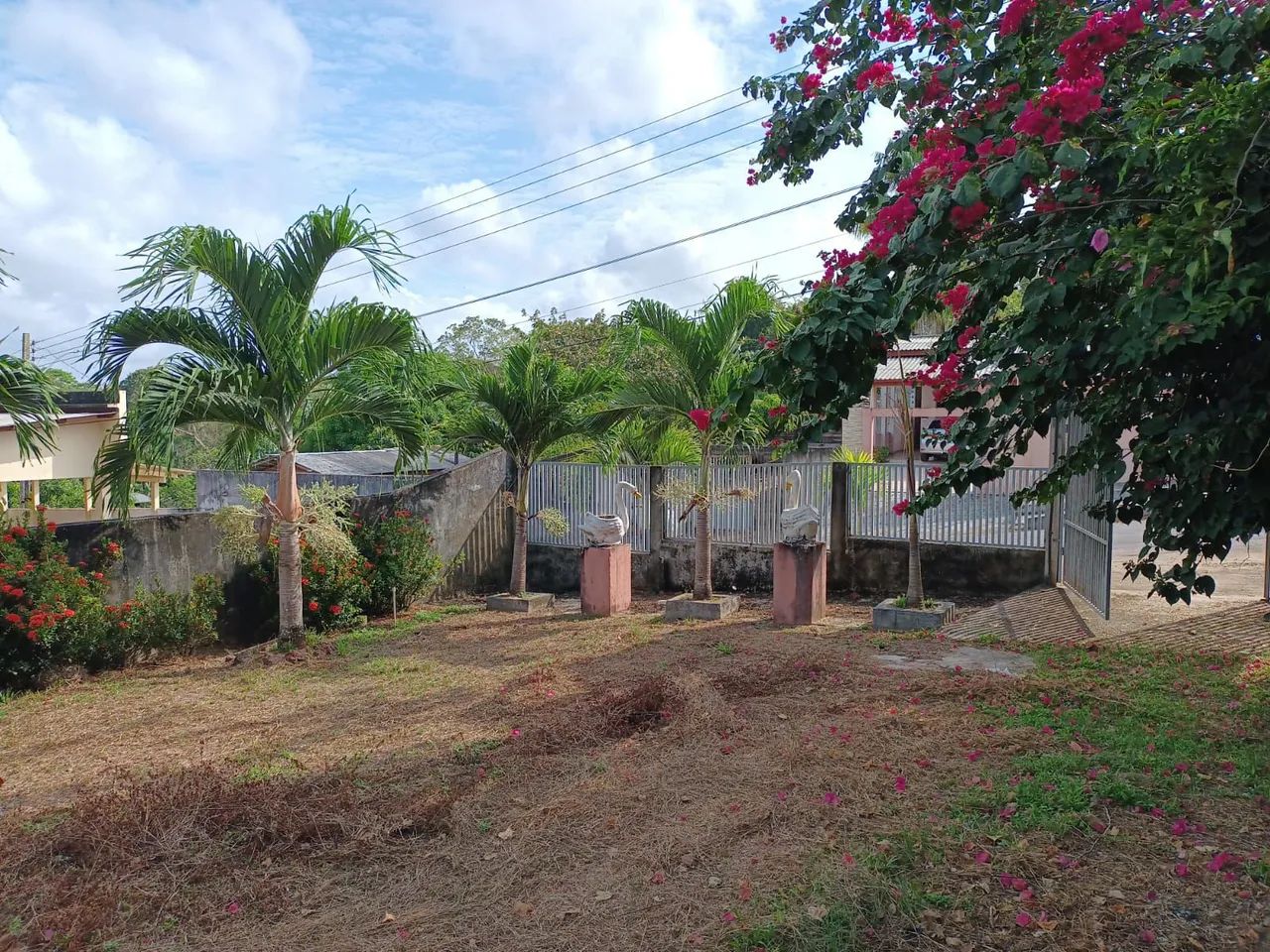 Vendo terreno no município de Ferreira Gomes  - Foto 5