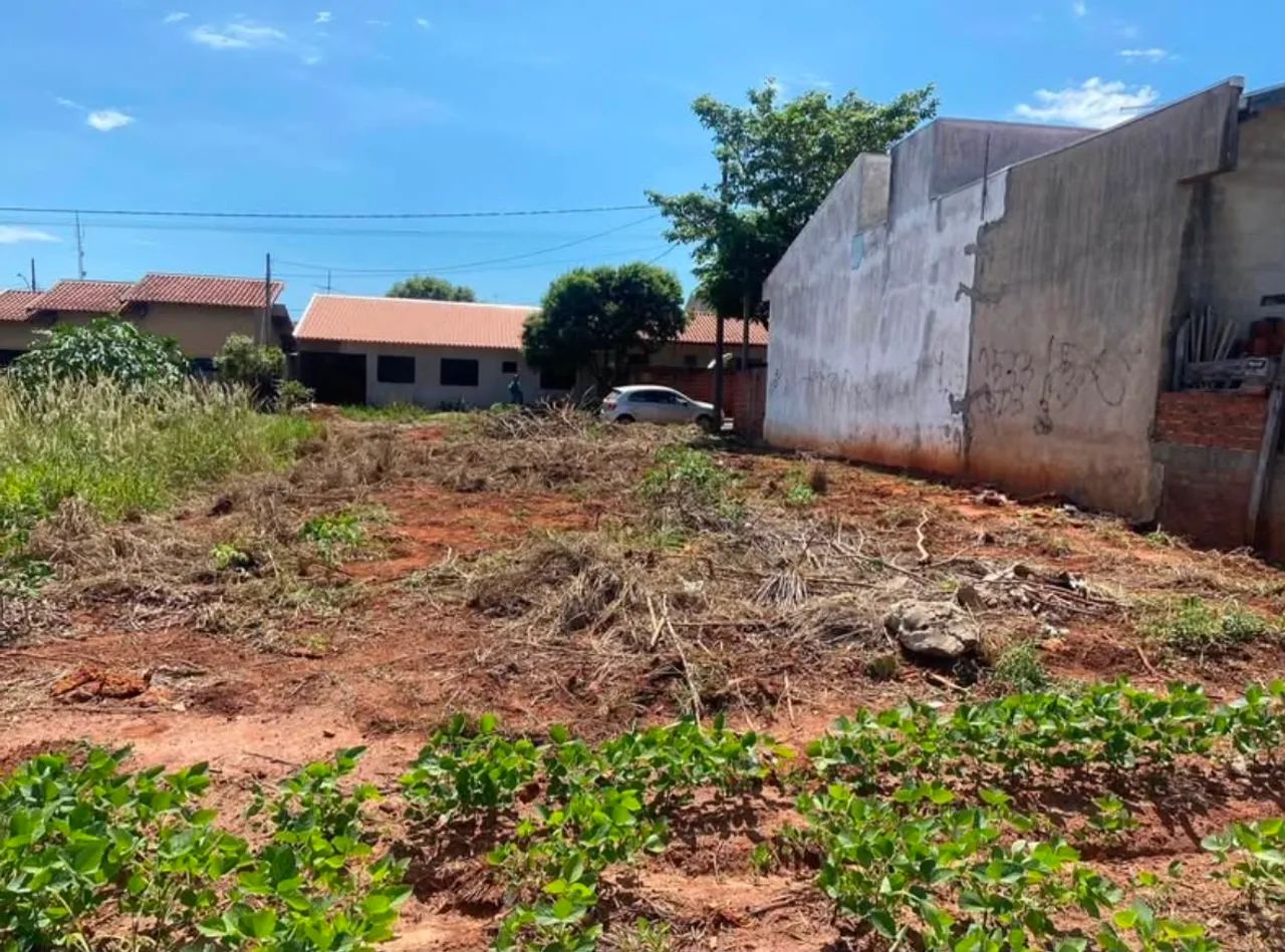 Vendo terreno conjunto hilario terra boa  - Foto 4