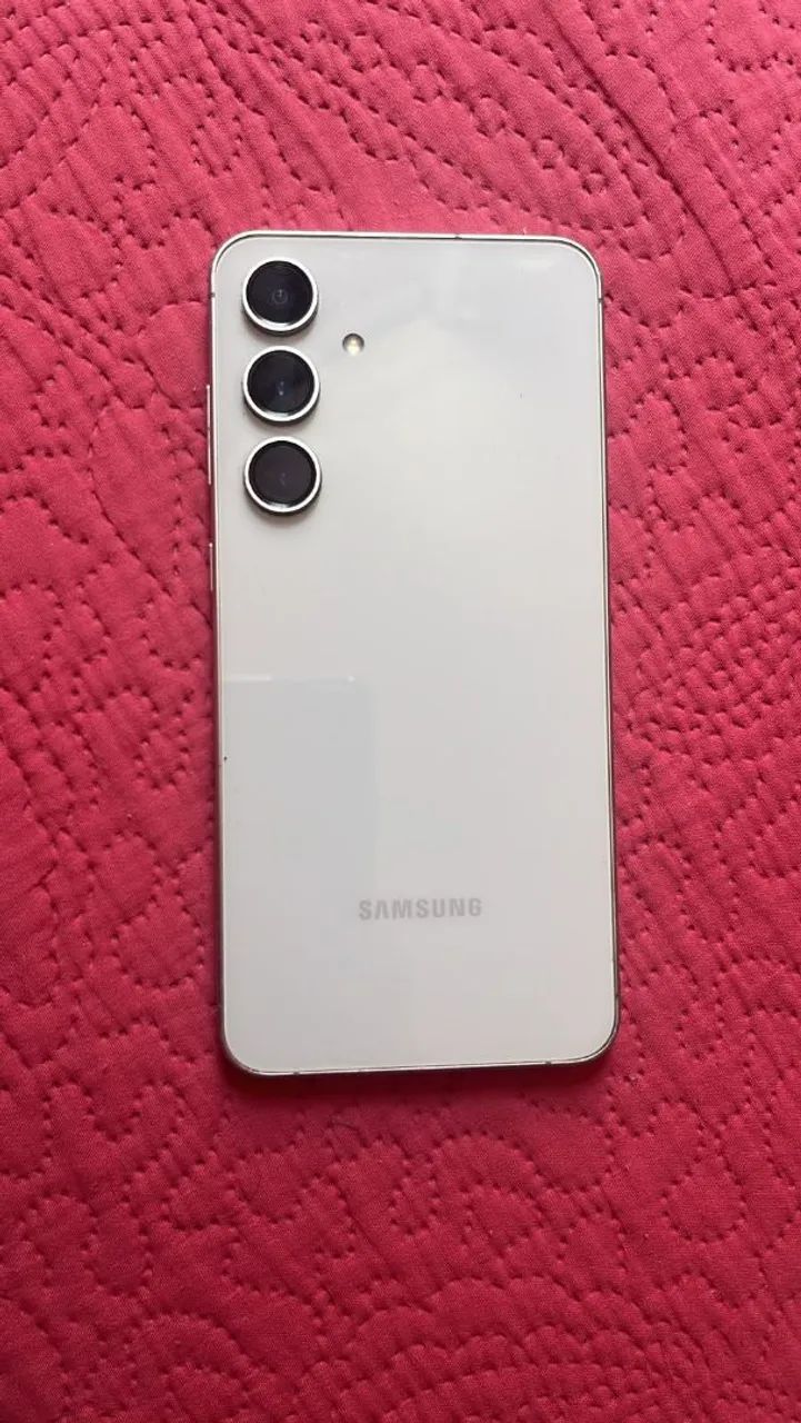 S24fe