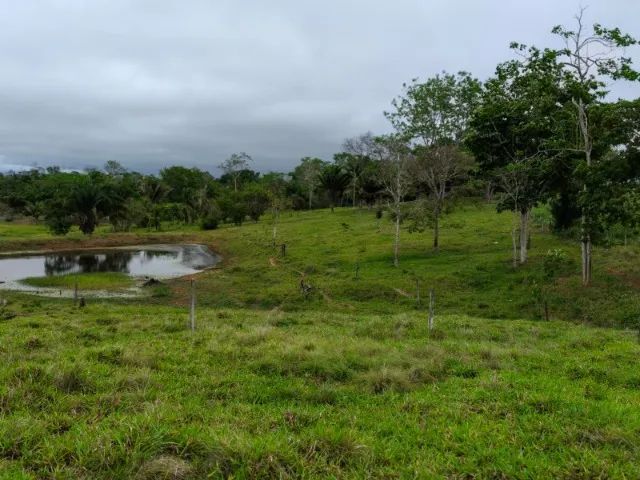Vende-se terra  - Foto 4