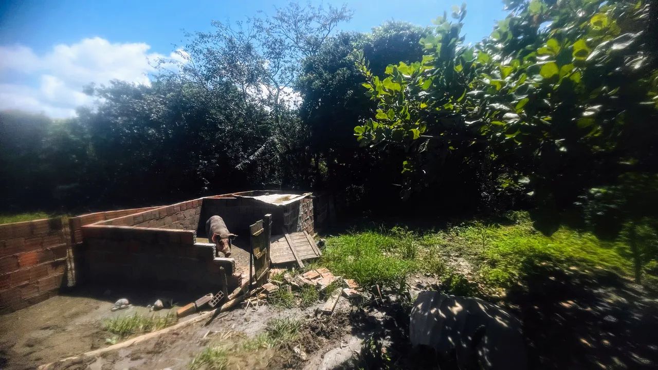 TERRENO PARA VENDER! - Foto 5
