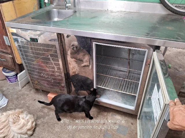 Frizer com pia em inox 