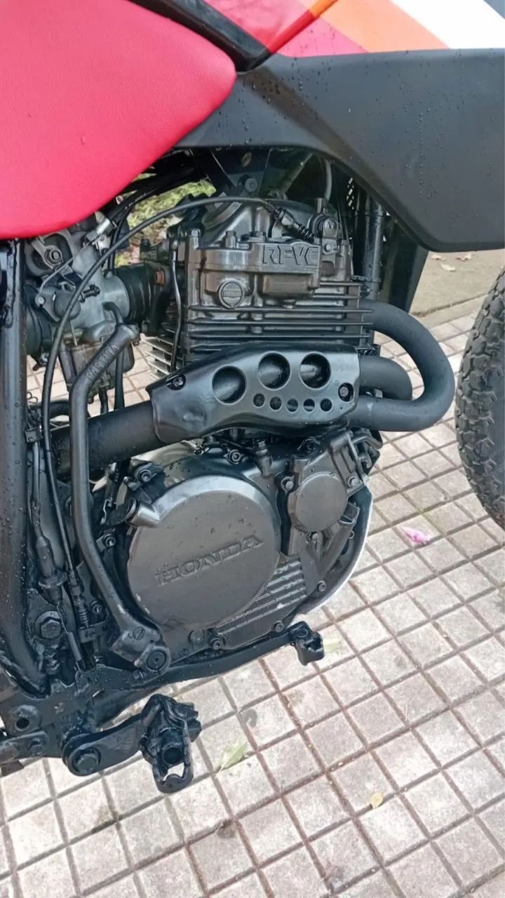 XLX - Foto 4