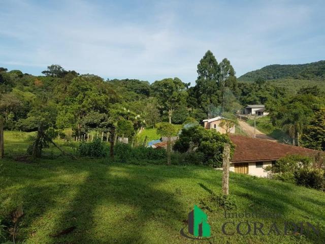 Linda Chácara em Bocaiuva do Sul - Foto 8