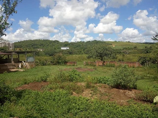 Vendo excelente área com 7.8 Hectáres em São Lourenço da Mata / PE - Foto 10