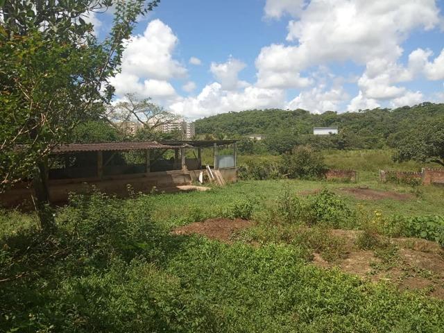 Vendo excelente área com 7.8 Hectáres em São Lourenço da Mata / PE - Foto 11