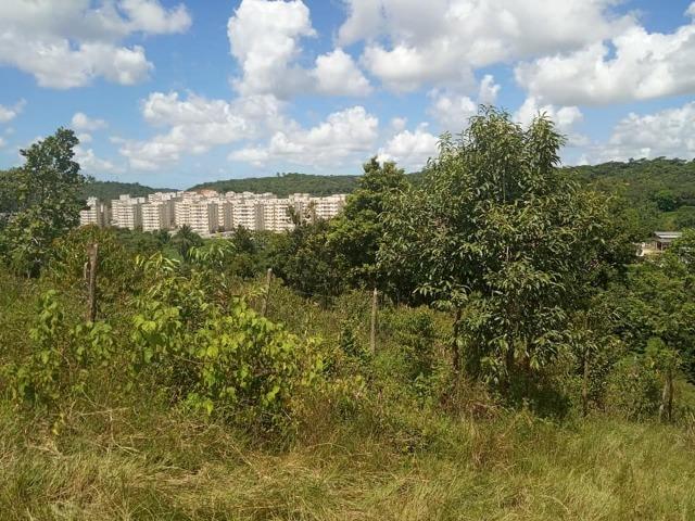 Vendo excelente área com 7.8 Hectáres em São Lourenço da Mata / PE - Foto 4