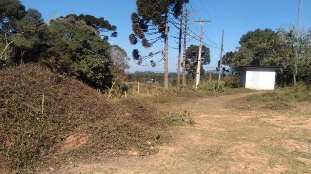 Chácara à venda em Contenda, São josé dos pinhais cod:1823956 - Foto 4