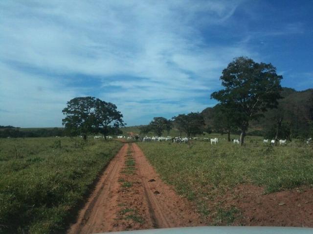 Fazenda 2.520 Alqueires - Foto 17