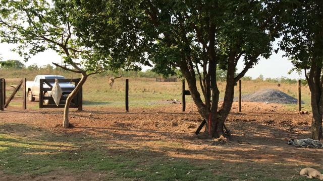 Fazenda 300,hectares - Foto 5