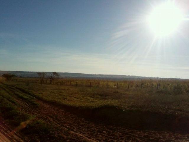 Fazenda 2.520 Alqueires - Foto 5