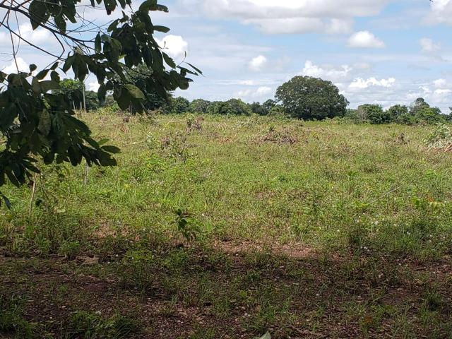 Fazenda 1.240 hectares á venda em jangada - Foto 8